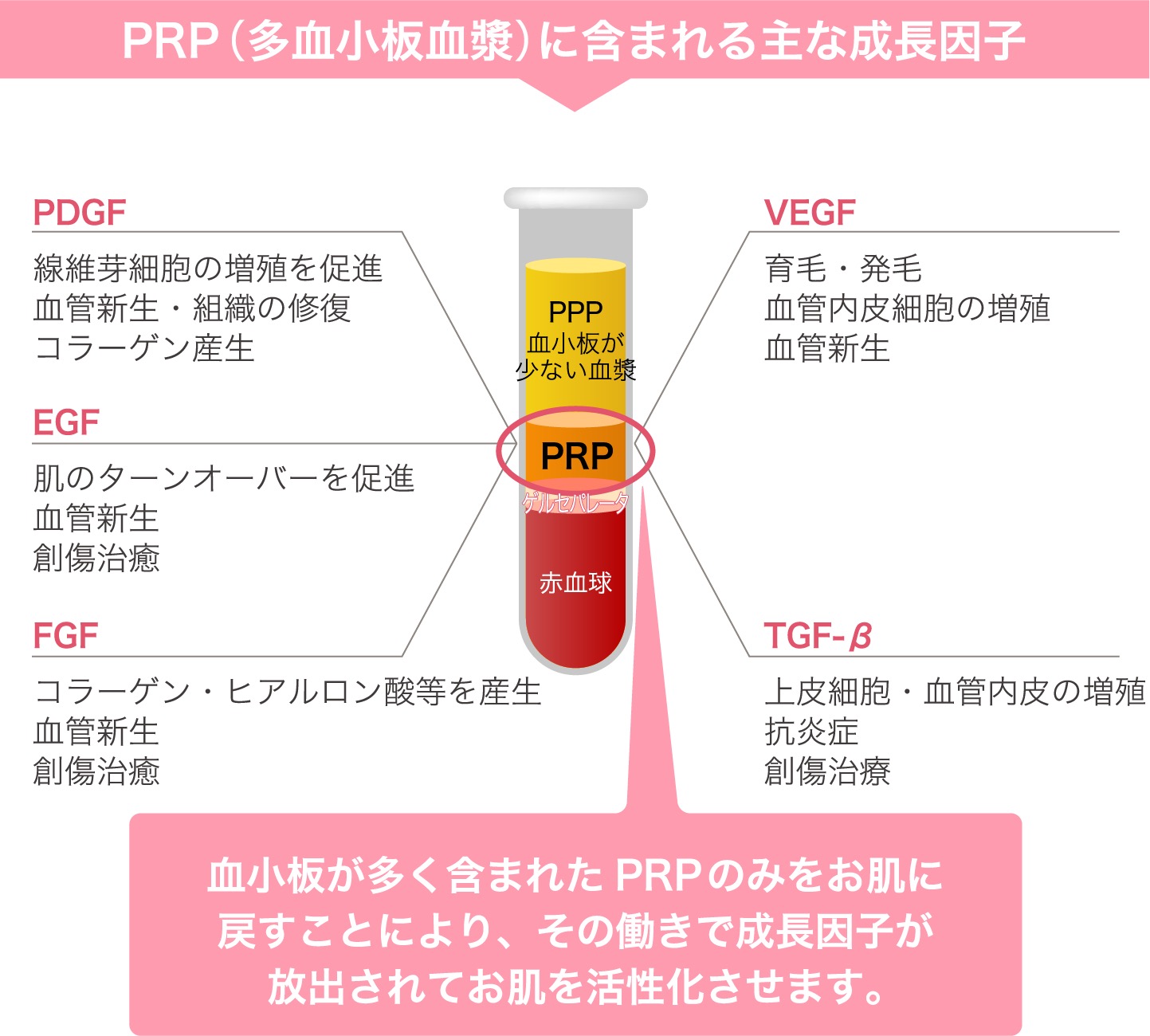 PRP（多血小板血漿）に含まれる主な成長因子