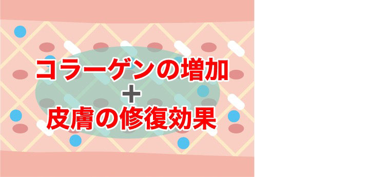 ❸ 半年〜1年後