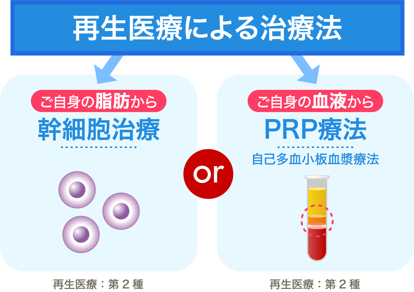 再生医療による治療法