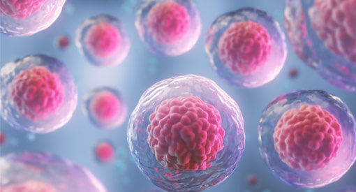 間葉系幹細胞による再生医療